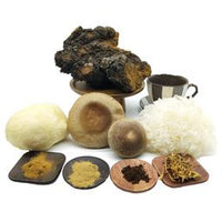 Vital Pilz Extrakte aller Art, Hericium, Reishi, Chaga, Cordyceps und mehr hier bei uns im Online Shop...