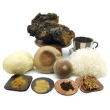 Vital Pilz Extrakte aller Art, Hericium, Reishi, Chaga, Cordyceps und mehr hier bei uns im Online Shop...
