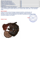 Höchste Qualität & Best-Preis, nur bei uns! Altaische Wildsammlung Reishi  Pilze (Bio, GMP Zertifiziert)