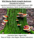 SIBIRISCHER WILD REISHI / GLÄNZENDER LACKPORLING (Ganoderma Lucidum) Ganze Pilze